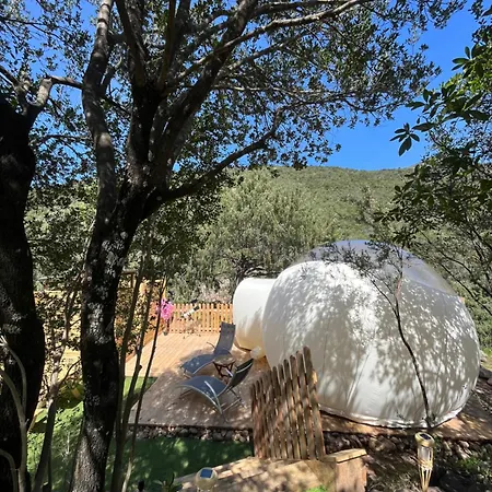 Bulle Du Fangu Galeria (Corsica)